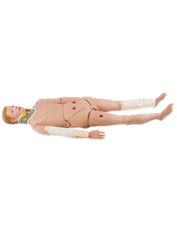 CLOSED LIMB BONE FRACTURE TRAINING MANIKIN 